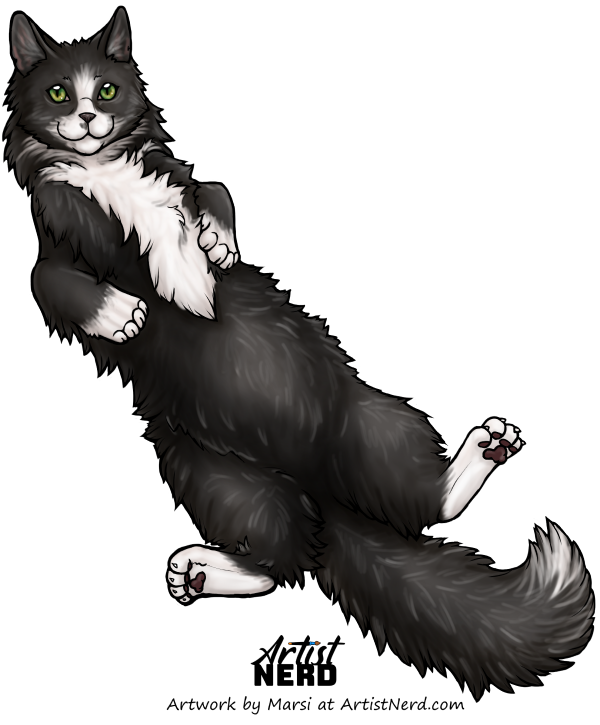 Custom Fluffy Cat Belly Digital Image YCH Your-cat-here Digital Art