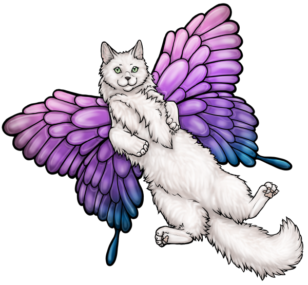 Custom Fluffy Cat Belly Digital Image YCH Your-cat-here Digital Art